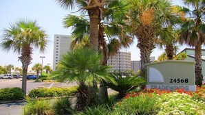 A landscaped area with palm trees and a sign indicating the address 24568 TRADEWINDS. - Tradewinds 1307 (Orange Beach)