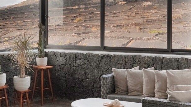 Un intérieur moderne avec un mur en pierre, un canapé, une table basse et des plantes en pot.