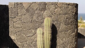 Un cactus dans un pot en pierre, surmonté d’une arche en métal.