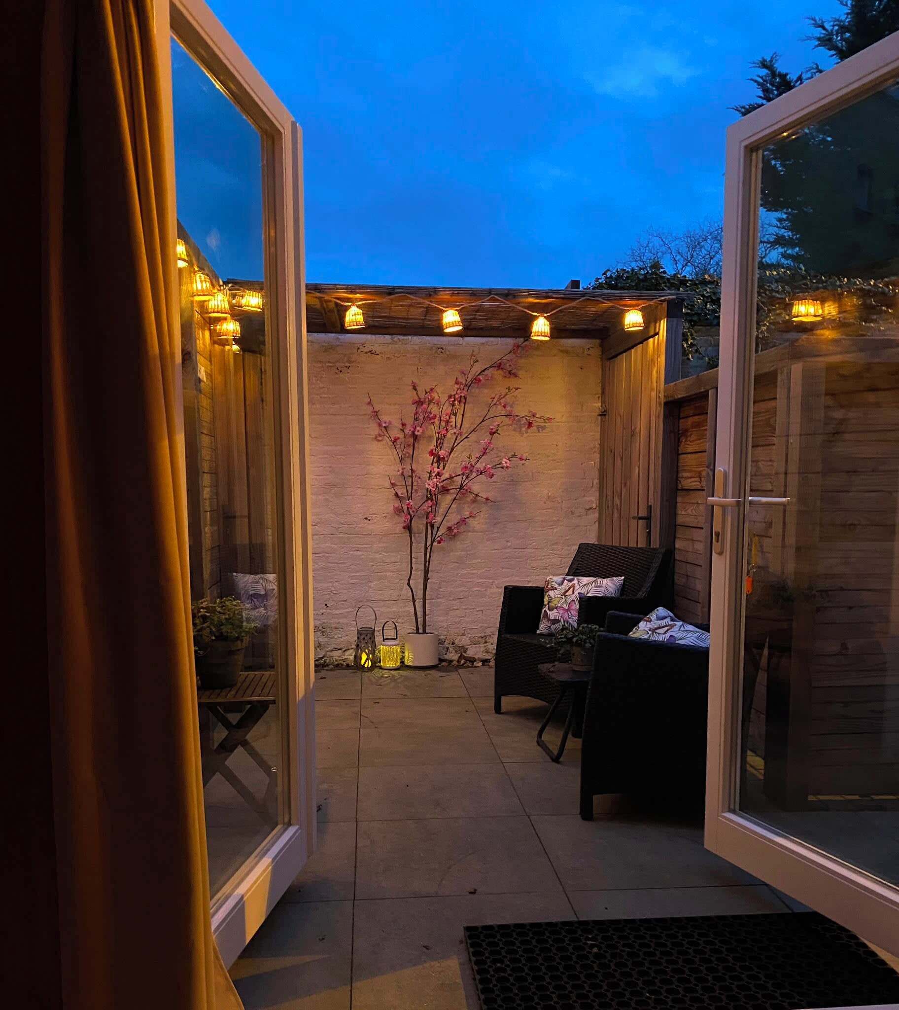 Terras