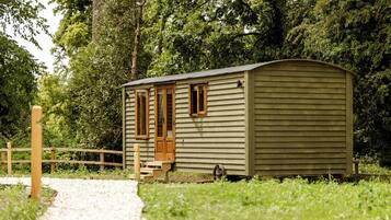 Iron/ironing board, free WiFi