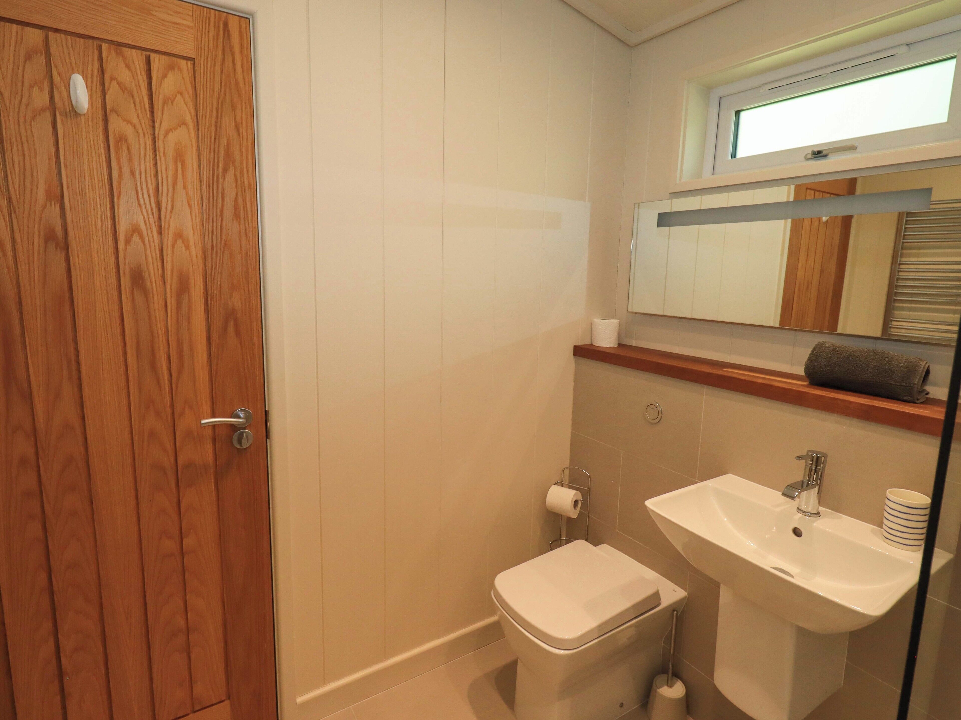 A bathroom with a wooden door, a toilet, a sink, and a mirror above the sink.