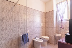 Shower, hair dryer, bidet, towels