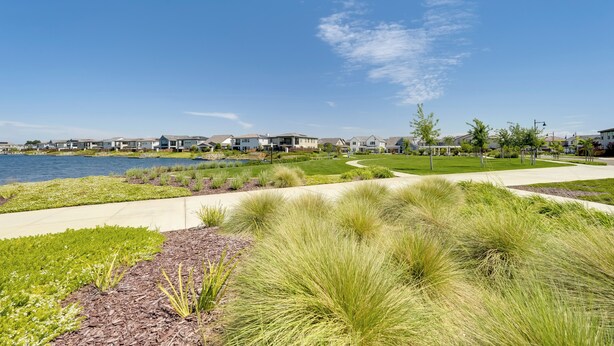 A residential area with houses, a lake, and landscaped areas.