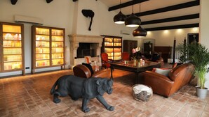 A spacious living room with a fireplace, leather furniture, and a large bookshelf. - Charming Mas Provencal With Swimming Pool (Noves)