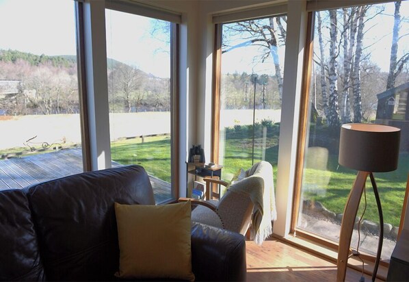 Smart TV, fireplace, DVD player, books