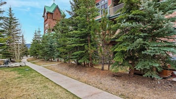 Terrain de l’hébergement