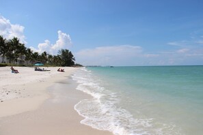 بالقرب من الشاطئ