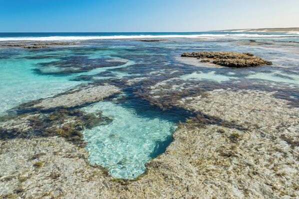 Beach - Waterfront Resort | Sleeps 7 |  Pool | Wifi (Kalbarri)