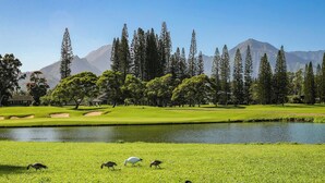 Ein Golfplatz mit Teich, Bäumen und Bergen im Hintergrund.