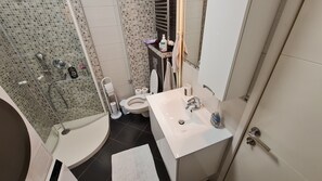 Shower, hair dryer, bidet, towels