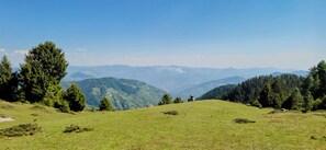 Quarto premium, sacada | Vista do quarto