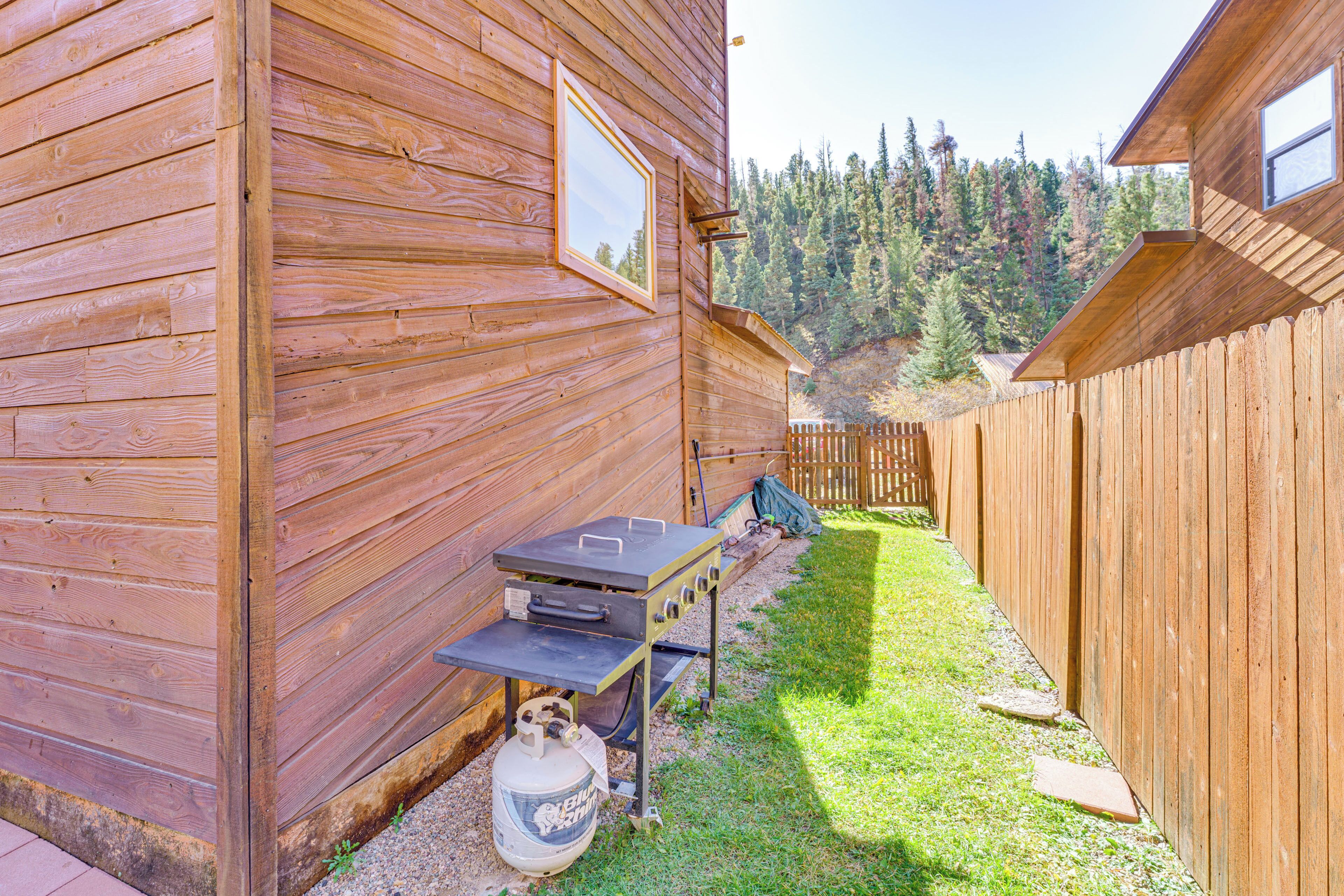 Une cabane en bois avec un barbecue et une bouteille de propane à l’extérieur.