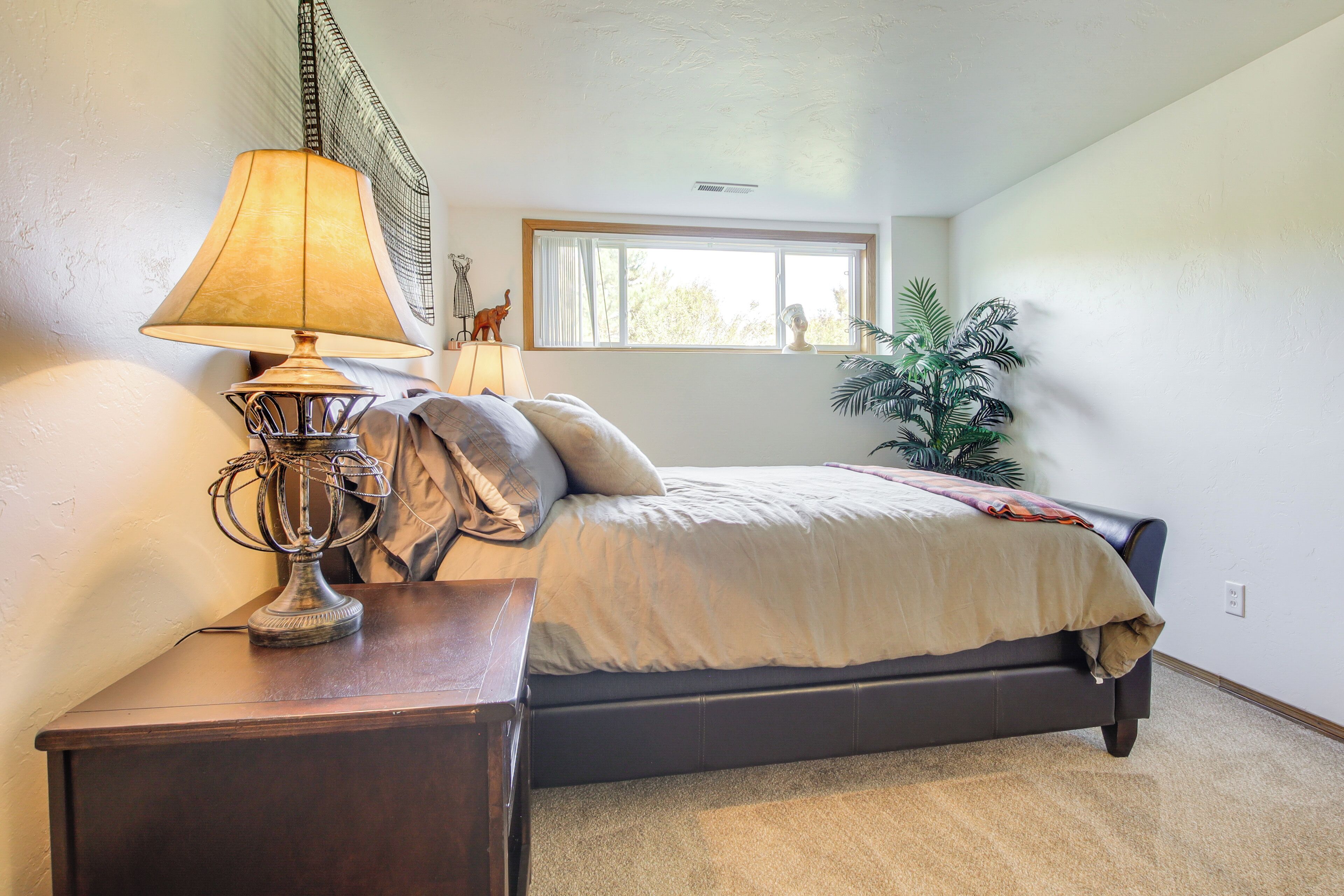 A bedroom with a bed, a nightstand, a lamp, a window, and a plant.