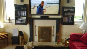 Un salon avec une cheminée, un téléviseur diffusant une scène de plage, une bibliothèque et un canapé rouge.