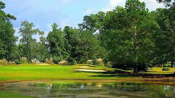 Condo, 1 Bedroom | Golf