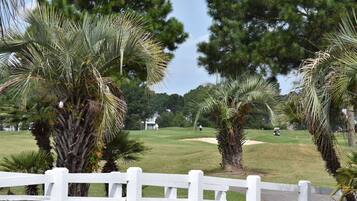 Condo, 1 Bedroom | Property grounds