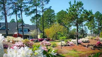 Condo, 1 Bedroom | Property grounds