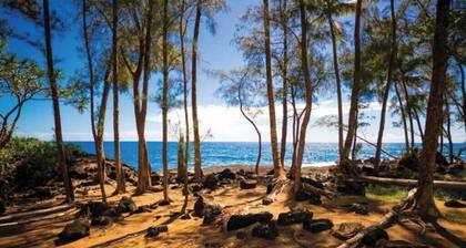 Luxury Hawaii Getaway Close to the Beach & Ocean!