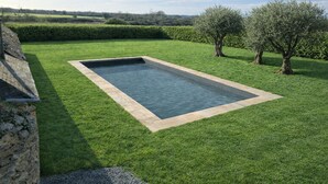 Ein rechteckiger Pool mit Steinrand, umgeben von gepflegtem Rasen und Bäumen.