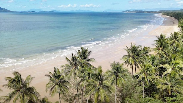 A beach with palm trees and a view of the ocean. - Liana One Coastal Mission Vibe (Mission Beach)