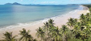 Une plage bordée de palmiers, avec vue sur l’océan.