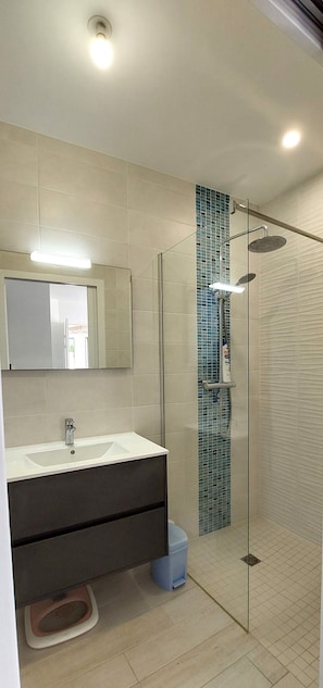 Shower, hair dryer, toilet paper
