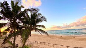 Une plage bordée de palmiers et délimitée par une clôture en bois.