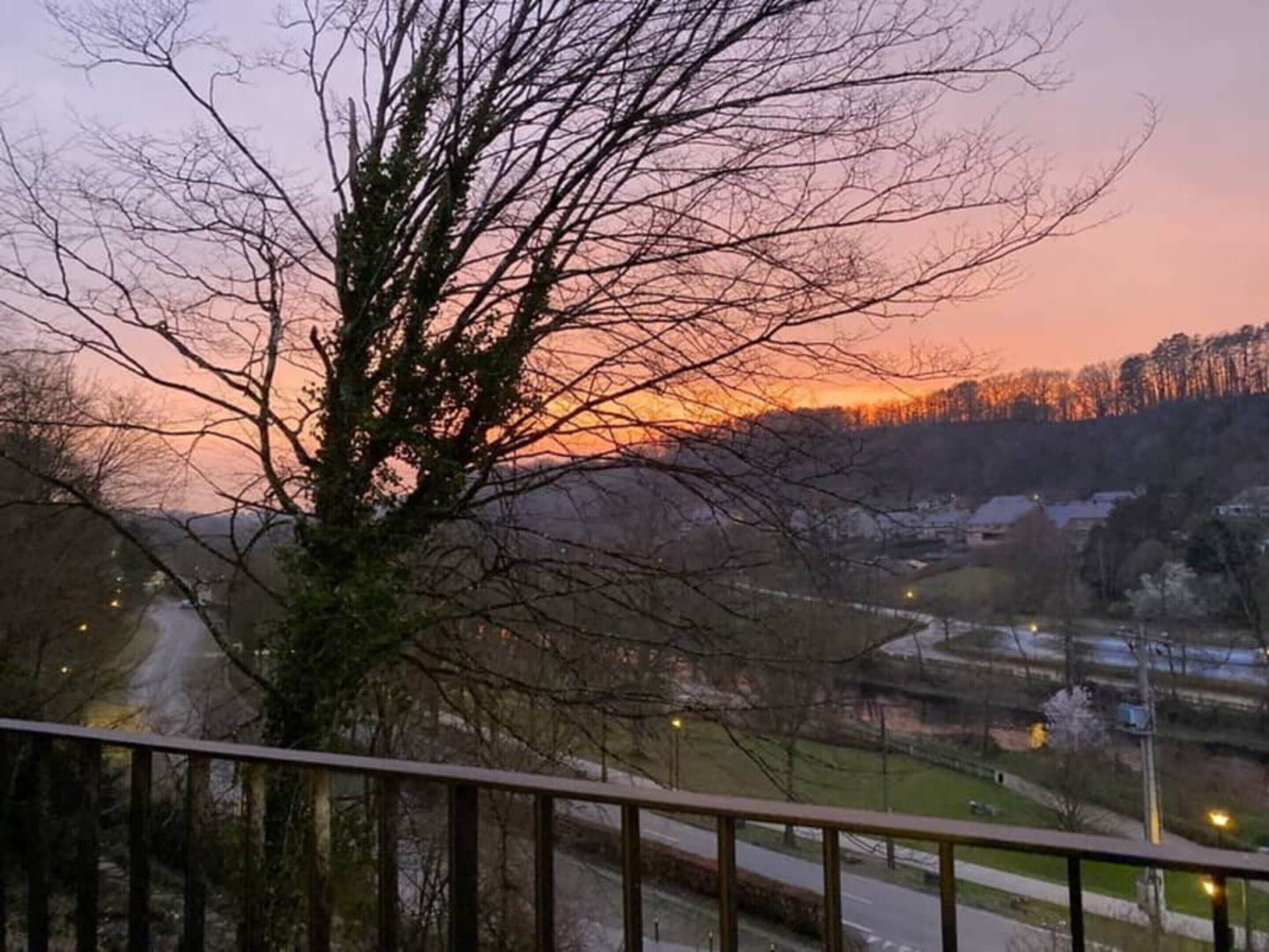 A view from a balcony overlooking a road with a tree in the foreground and a sunset in the background.