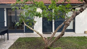 Ein Baum mit grünen Blättern vor einem Gebäude mit rotem Ziegeldach und einer schwarzen Tür.