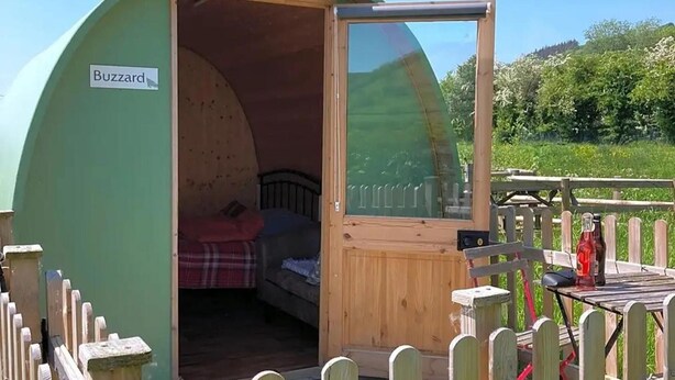 A small, green, dome-shaped structure labeled "Buzzard" with a wooden door open, revealing a bed inside. - Green Dragon and Kitchen Pod - Sleeps 2 & Parking (Welshpool)