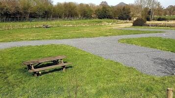 A grassy field with a picnic table and a gravel path.