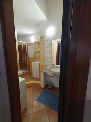 Shower, hair dryer, bidet, towels