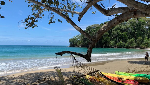 A hammock under a tree on a beach with kayaks and a sign.