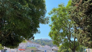 A park with benches, a statue, and a view of a hill with buildings. - Casa Alves (Palmela)