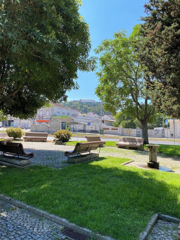 Property grounds - Casa Alves (Palmela)