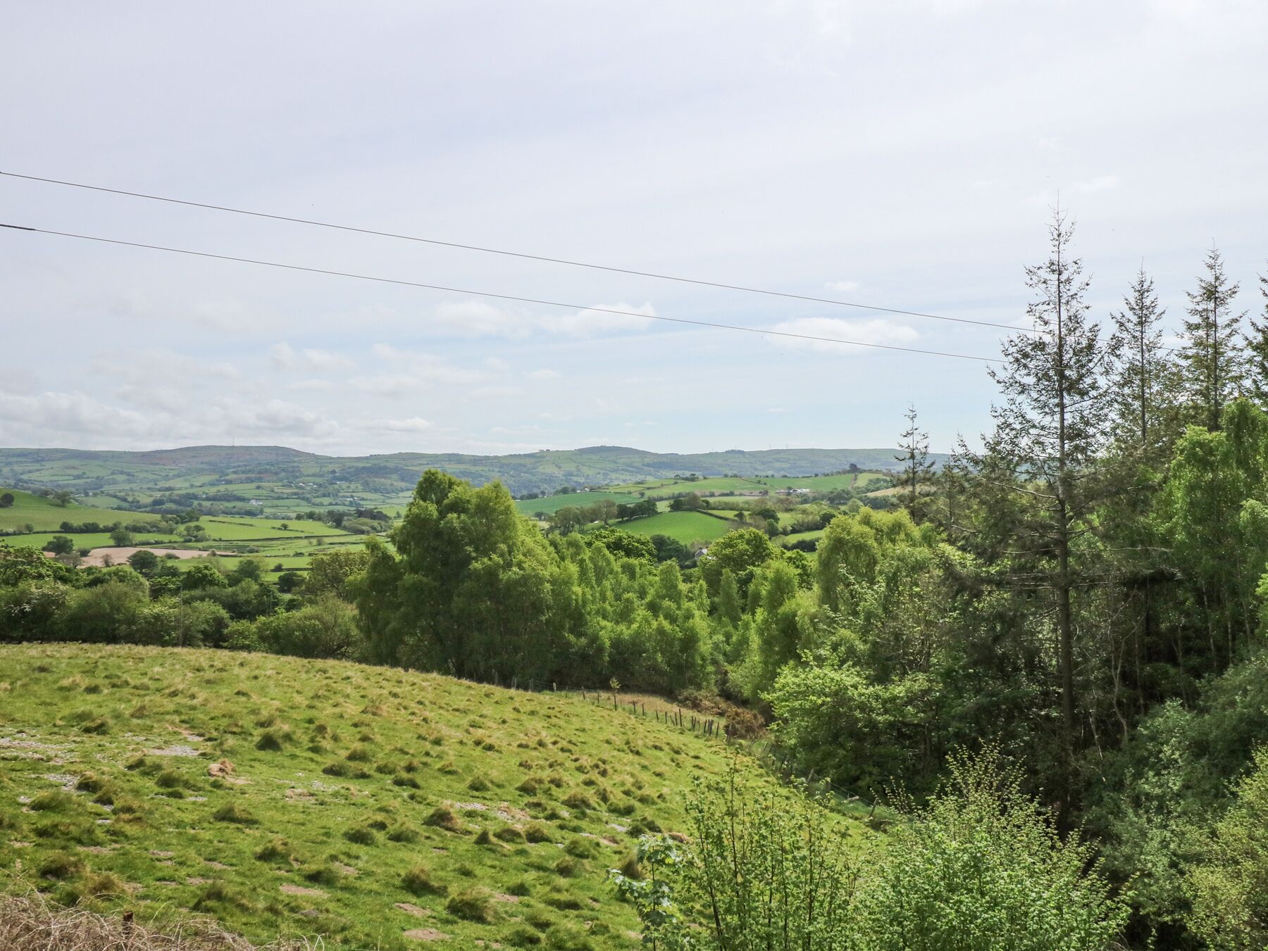 A rural landscape with rolling hills, green fields, and scattered trees.