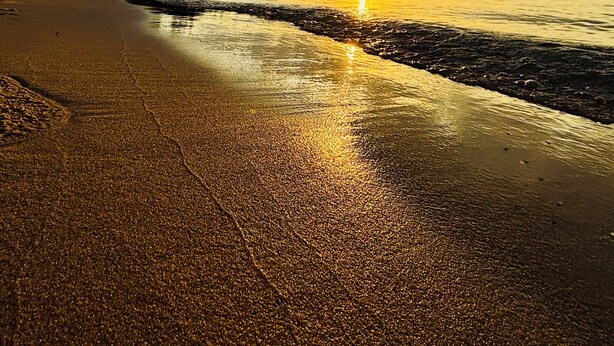Ein Strand mit Sonnenuntergang, ruhigem Wasser und einem bewaldeten Gebiet.