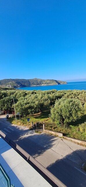 Vista desde la propiedad