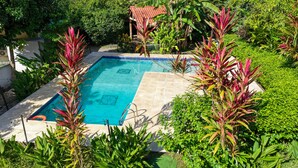 Una piscina rectangular con solárium de baldosas, rodeada de exuberante vegetación y una estructura de madera al fondo.