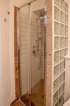 Shower, hair dryer, bidet, towels