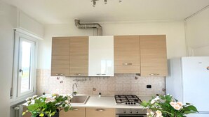 Una cocina moderna con armarios de madera, una estufa a gas, un fregadero y dos plantas en macetas sobre la encimera.
