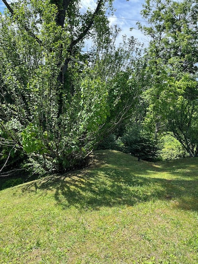 Charming 3-bedroom house with WiFi, AC in Pineville Kentucky