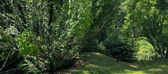 Charming 3-bedroom house with WiFi, AC in Pineville Kentucky