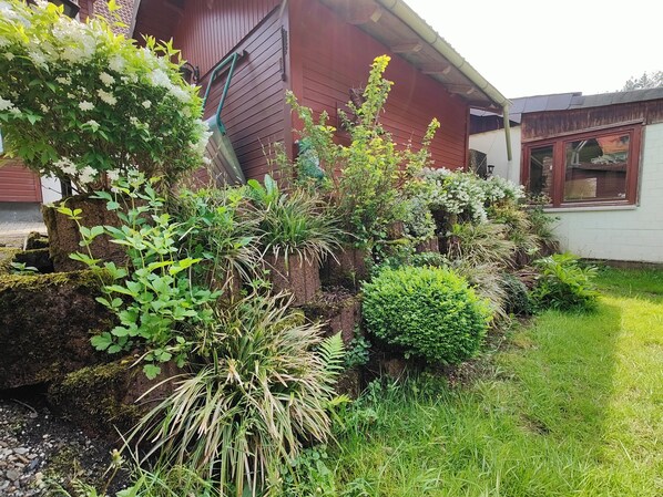 Terrain de l’hébergement 