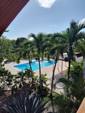 Una piscina rodeada de palmeras y otra vegetación, vista desde un balcón.