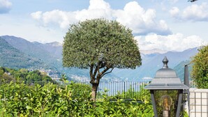 A tree in a landscaped area with a view of mountains and a body of water in the background. - Villa Maderni Breathtaking (Como)