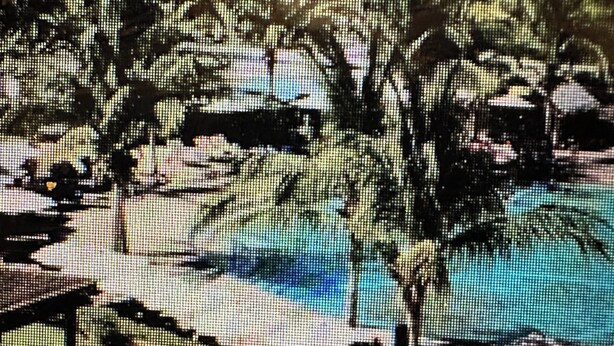 Eine tropische Landschaft mit einem Pool, Palmen und blauem Himmel.