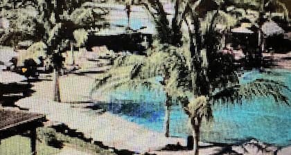 2 BR OCEANFRONT ELITE PENTHOUSE JUST STEPS FROM THE BEACH