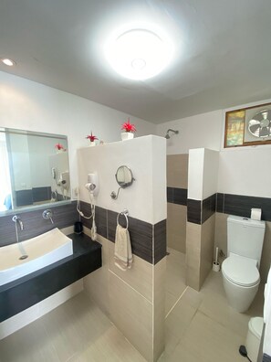 A modern bathroom with a large sink, a mirror, a toilet, and a shower area.